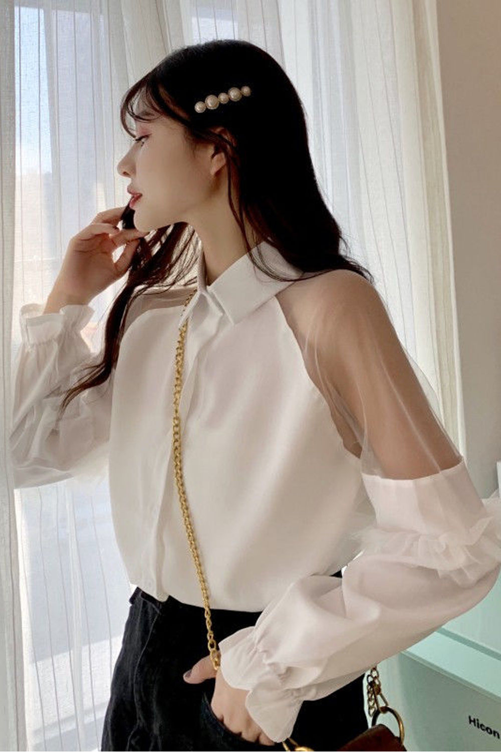 Long Puff Sleeve Transparent Collar Blouse Shirt