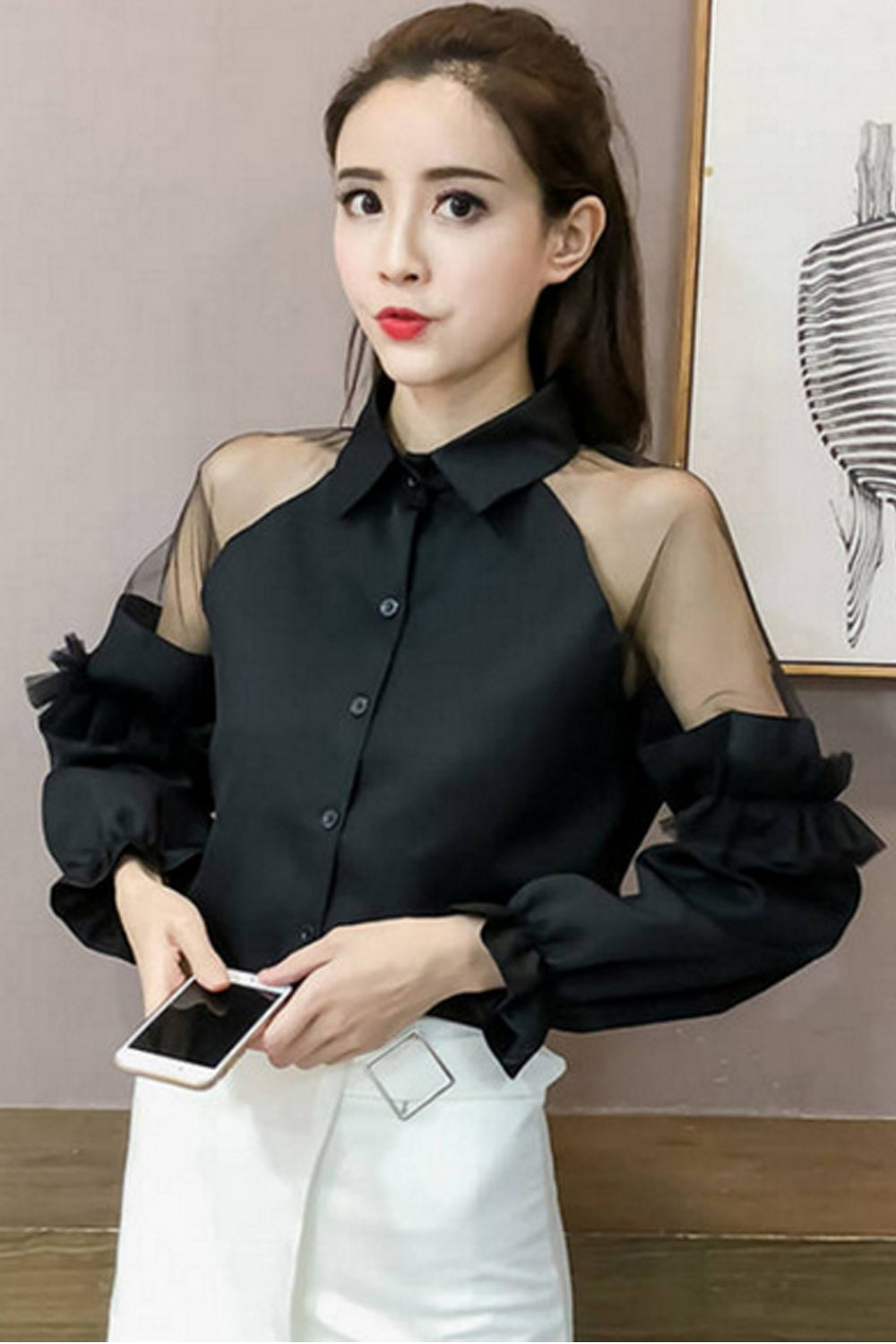 Long Puff Sleeve Transparent Collar Blouse Shirt