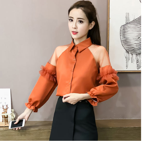 Long Puff Sleeve Transparent Collar Blouse Shirt